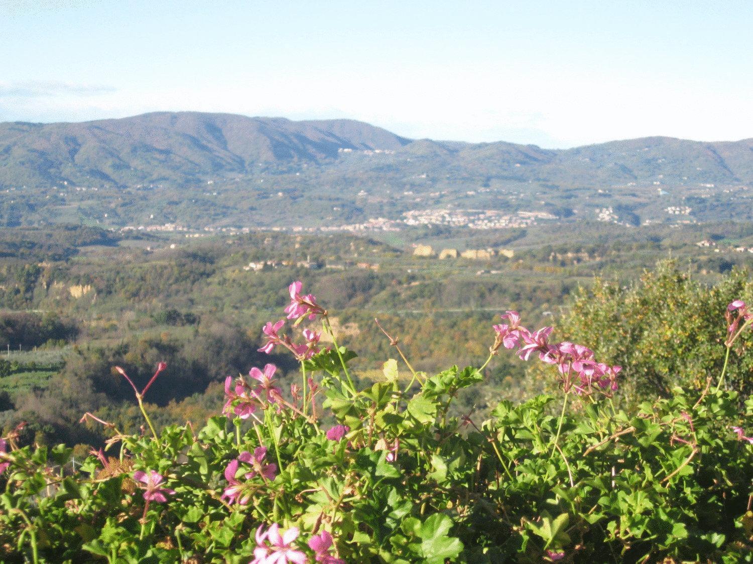 Agriturismo La Capitata Pian di Scò Buitenkant foto